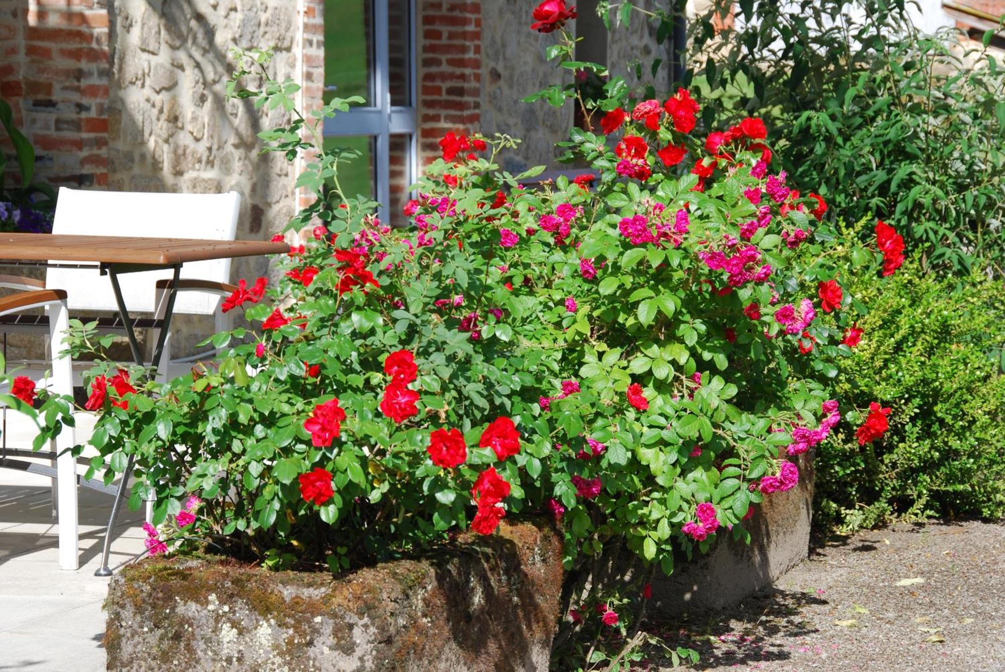 Les Maisons de Concasty Boisset  Chambre photo